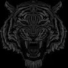 RobertMoretti - @robert.163.1 - TikTok