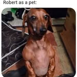 Robert Morse - @robert.morse.1848 - Instagram