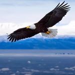 Robert Morse - @robert_morse_ - Instagram