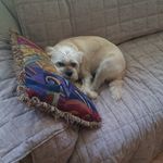 Robby Moulden - @robert_moulden - Instagram