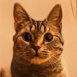 @robert.mo.uw - Instagram