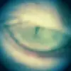 robertmowery0 - @robertmowery0 - TikTok