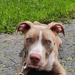 Robert Adam Kraj - @robert.mucha.31924 - Instagram