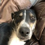 Robert Marley Gregory Mulford - @wombatmarely - Instagram
