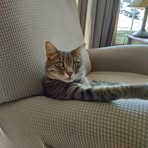 Robert Mulgrew - Facebook