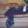Robert Mull - @robert.mull8 - TikTok