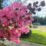 Dr. Robert J. Mullaney - @dr.robertj.mullaney - Instagram