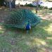 Robert Mullaney - Facebook