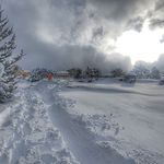 Robert Mulley - @mullaneyrobert - Instagram