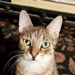 Robert Muma - @quadcam77 - Instagram