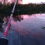 Robert Münzer - @munzerrobert - Instagram