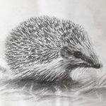 Robert Murison - @robert_murison - Instagram