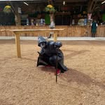 Robert Murray - @judybootii - Instagram
