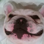 Robert Musil - @robert000004 - Instagram