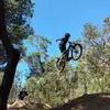 Robert Mustard - @robert.mustard2 - TikTok