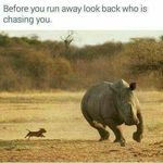 Mutisyarobertto - @robert.mutisya.027 - Instagram