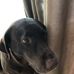 Robert Mynes - Facebook