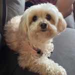 Robert Nazzaro - @robert.nazzaro - Instagram