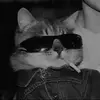 R0b3rt - @robertnedelcu08 - TikTok