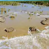 Robert Ned - @robert.ned04 - TikTok