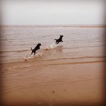 Robert Neece - @notevenose - Instagram
