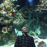 Robert Needham - @bobneedham81 - Instagram