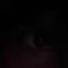 _robert.neely_ - @_robert.neely_ - TikTok