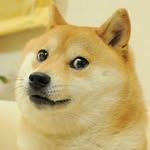 Robert Neely - @dogeboy_0277_aka_memepage - Instagram