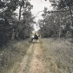 Robert Neely - @robert_neely_ - Instagram