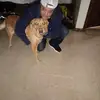 robertneely070 - @robertneely070 - TikTok