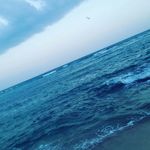 Robert Negron - @robert_torres_18 - Instagram