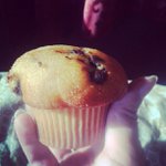 Robert Negron - @milkpuppyshiya - Instagram