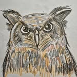 Robert Bran Neibert - @bobn7953 - Instagram