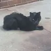 Robert Nelson - @robert.nelson30 - TikTok