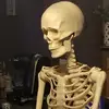 robertnephew691 - @robertnephew691 - TikTok