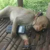 Robert_nettles - @robert_nettles - TikTok
