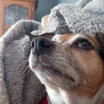 Robert Netzel - @netzelrobert - Instagram