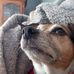 Robert Netzel - Facebook