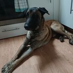 Robert Netzel - @robertnetzel - Instagram