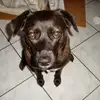 Robert Neumann - @robert.neumann46 - TikTok