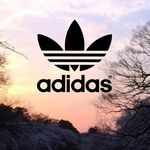 Robert Newcomb - @robertallenrae7 - Instagram