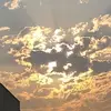 robertniedrich12 - @robertniedrich12 - TikTok