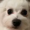robertaunizzi73 - @roby_je - TikTok