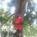Robert Noel - Facebook