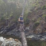 Robert Nolan - @robert.nolan.397 - Instagram