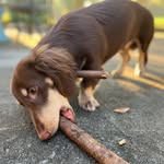 Robert Nott - @nott.robert - Instagram