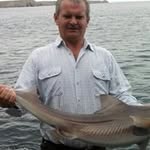 Robert Nott - @nottrobert - Instagram