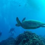 Robert Nottbohm - @robertnottbohm - Instagram