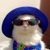 Robert Knuckles - @robertknuckles534 - TikTok