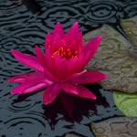 Robert G. Nulph - @vlmmarketing64 - Instagram